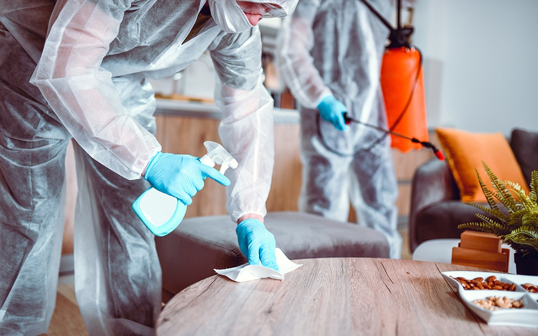 The Basics of Biohazard Cleanup and Water Damage Repair