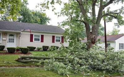 How to Avoid Storm Damage Repairs From Trees and Branches